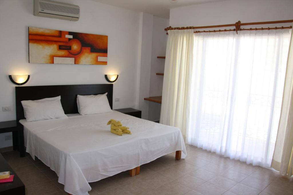 Hotel Sol Playa 신데 델 카르멘 객실 사진